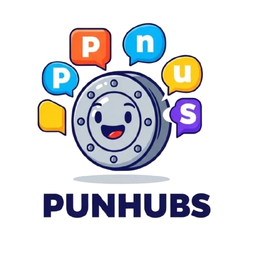 punhubs.com