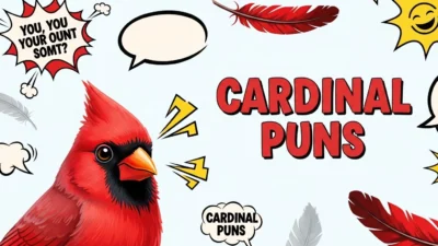 Cardinal puns